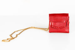 Snakes in the grass chain crossover purse